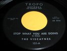 THE VISCAYNES w/SLY STONE Stop What You Are Doing 45 Rare Doo Wop Tropo NM Lstn