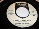 GARAGE- DENNY PROVISOR- VALIANT 45 RPM - PROMO- IT REALLY TEARS ME UP - LISTEN