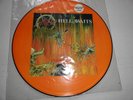 SLAYER  Hell Awaits Picture disc original
