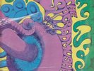 The Sacred Mushroom-Rare 60's Psych-Garage Rock LP-Parallax Label