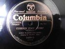 DIXIE WASHBOARD BAND CUSHION FOOT STOMP COLUMBIA 14239-D 78 RPM JAZZ