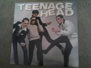 Teenage Head punk rock lp