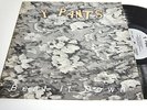 Y PANTS - BEAT IT DOWN-LP/Vinyl/Record
