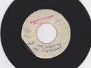 HAMLINS / CARIBBEANS Tell Me Why / Let Me Walk By MATADOR blank HEAR
