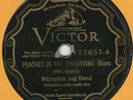 MEMPHIS JUG BAND-PEACHES IN THE SPRINGTIME- VICTOR 21657