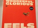 EELS WONDERFUL, GLORIOUS 10