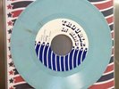 TY SEGALL X/500 SOLD OUT COLOR VINYL 7