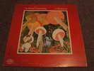 THE MUTUAL UNDERSTANDING  In Wonderland  CBC TRANSCRIPTION  Sunshine Pop
