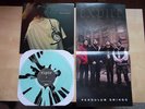 EXPIRE Pendulum Swings 12