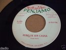 JORGE LAZCANO & SU CONJUNTO RARE MEXICAN ROCK 45 REBELDE SIN CAUSA