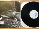 Tigers Jaw s/t /50 Title Fight Basement Transit Such Gold Balance & Composure B9