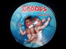 EXODUS - BONDED BY BLOOD PICTURE PIC VINYL LP