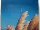 Jimmy Eat World Static Prevails Sealed 1996 USA LP + 7” Ltd Ed of 500 PROMO ONLY