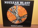LP IN FLAMES [Clayman] PICTURE DISC 2000 Nuclear Blast [MINT] clayman NB 499-1