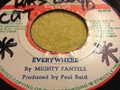 MIGHTY FANTELS.EVERYWHERE/VERSION.ROOTS FROM THE  YARD.