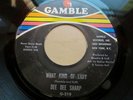 Northern Soul 45 DEE DEE SHARP what kind of lady GAMBLE black issue listen