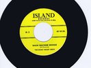 ECHO VALLEY BOYS - WASH MACHINE BOOGIE (original version) 1970s ROCKABILLY REPRO