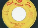 Pgh Garage rocker - Terry Lee - Hey Baby, Hey Sugar / Revelers - Part iii