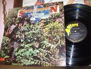 Savoy Brown  