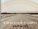 Vincent Gallo 