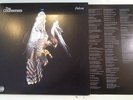 THE COURTEENERS - FALCON - VERY RARE 2010 POLYDOR ORIGINAL VINYL LP