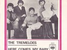 THE TREMELOES - HERE COMES MY BABY - GENTLEMEN OF PLEASURE - SWEDISH SP 1967