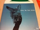 SUNNY DAY REAL ESTATE THE RISING TIDE CLEAR GREEN VINYL RECORD 2 LP RARE