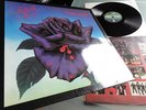 THIN LIZZY      - BLACK ROSE -  DEUTSCHES ORIGINAL IM TOP ZUSTAND
