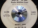 Link Wray & The Wraymen - Mary Ann / Ain't That Loving You - Promo 45 Rockabilly