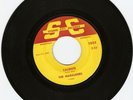 RARE SURF GUITAR INSTRUMENTAL ROCKER- MARAUDERS- 
