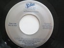 LISA FLOYD-PETERSON Can't See The Love For The Trees '88 MODERN SOUL DJ 45