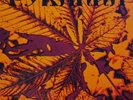Pyranha - Same (Pyranha) (1972) - LP