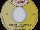 Northern Soul 45 RINGLEADERS Baby What Has Happened to Our Love M-PAC HEAR
