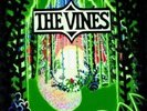 The Vines - Highly Evolved  Original Debut UK Only Vinyl LP With POSTER
