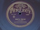 Lew Gold ANNETTE HANSHAW VOCAL / Willard Robison PERFECT 14907 Paul Hagen