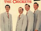 CRICKETS -  BRUNSWICK 71038 -  THE SOUND OF,  M-/M-/VG+