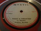 Junior Brown What A Disaster  Killer Roots 12