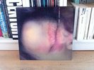 P J Harvey Dry Vinyl LP From 1992 Too Pure Pure10