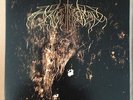 WOLVES IN THE THRONE ROOM Two Hunters SOUTHERN LORD BLACK METAL BURZUM SUNN 2LP