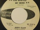Judy Clay 