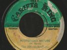 THE AFRICAN BROTHERS - MYSTERIOUS NATURE \ SECTION 11            7