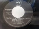 THE TRENDS- THANKS FOR A LITTLE LOVIN  -RARE NORTHERN SOUL.