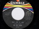 Dee Dee Sharp What Kind Of Lady NORTHERN SOUL Rare Gamble Issue Ex Condition