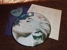 Madonna True Blue RARE Japanese Picture Disc LP - Black Rim - Cropped Image