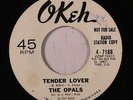 OPALS: Tender Love / Does It Matter (rare soul vinyl 45) dj, tag residue/wol