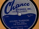 Flamingos Golden Teardrops Chance Clean