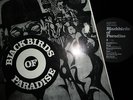 Blackbirds of Paradise(JG-Records D-586 Iserlohn JG-07)LP mit Autogrammen (1970)