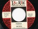 RATS - Spoonfull - freakbeat garage mod 45