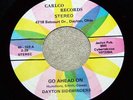 DAYTON SIDEWINDERS  Go Ahead On/Phoenix  RARE OHIO FUNK 45 ON CARLCO *HEAR* $