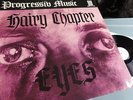 HAIRY CHAPTER     - EYES -    MINT ARCHIVE ORIGINAL 1970  OPP RECORDS